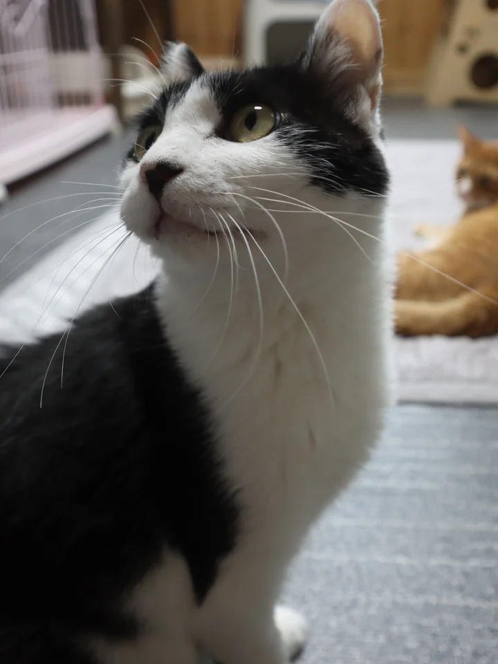 계양 6