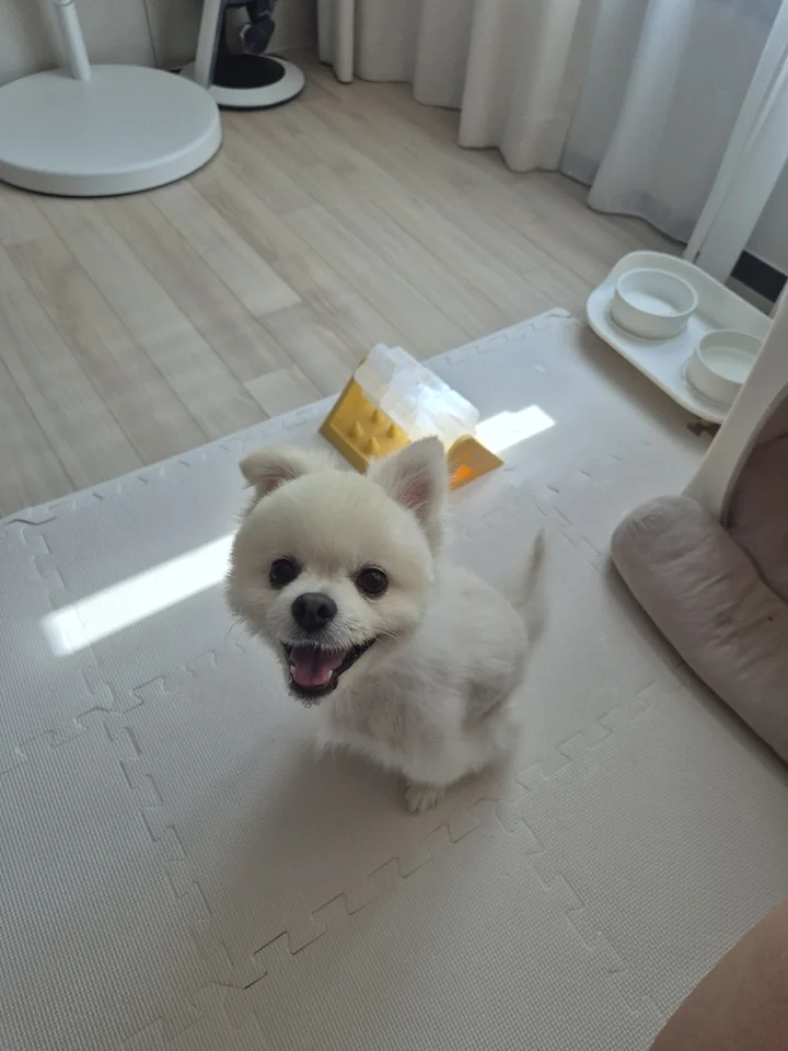 송천 6
