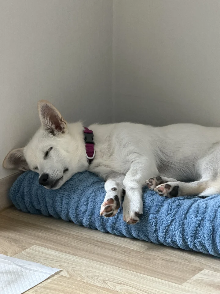 오늘이 6